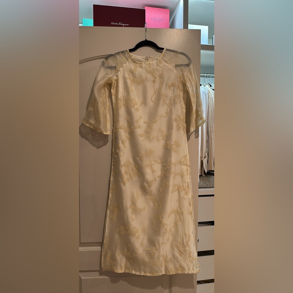 Vietnamese ao dai
